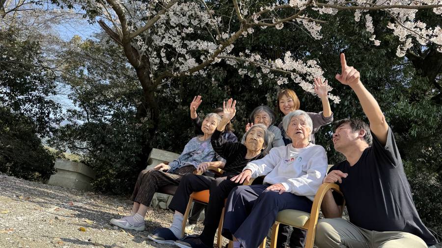 桜の下でのお花見レクリエーション